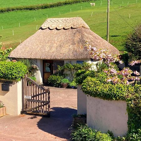 The Nest - Thatched Seaside Country Cottage For Two Stokeinteignhead ภายนอก รูปภาพ