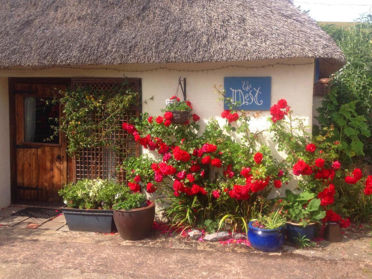The Nest - Thatched Seaside Country Cottage For Two Stokeinteignhead ภายนอก รูปภาพ
