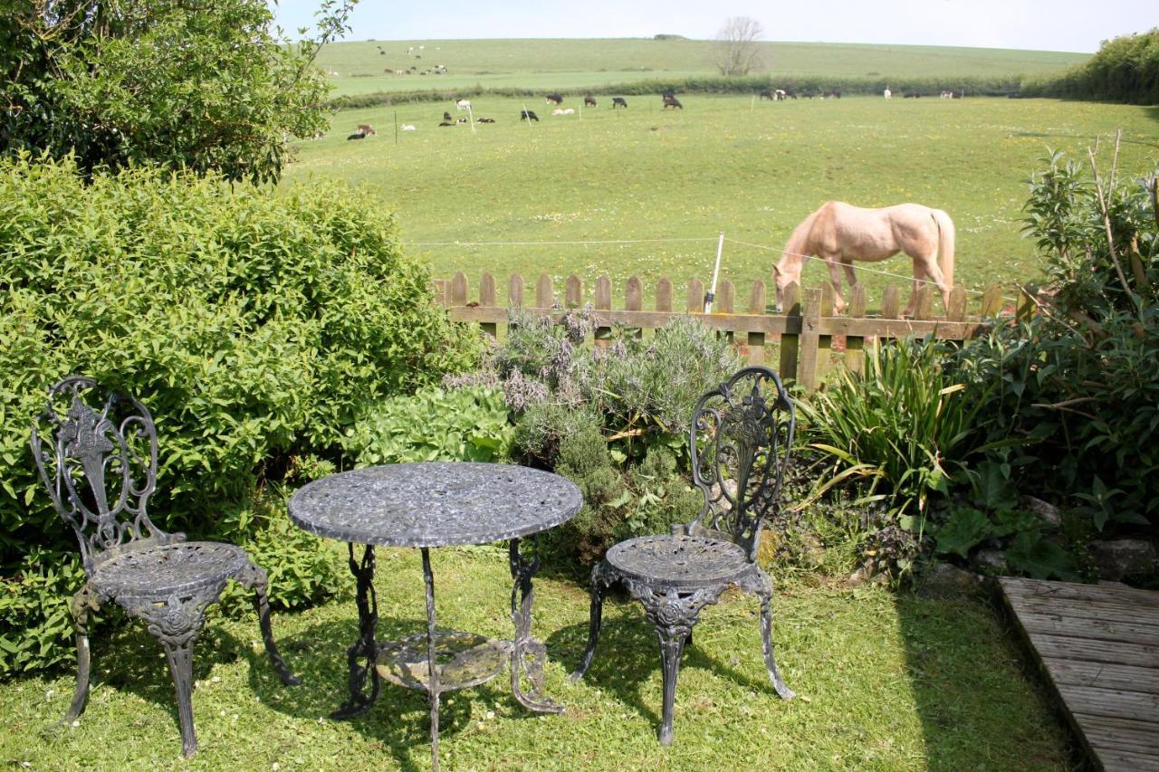 The Nest - Thatched Seaside Country Cottage For Two Stokeinteignhead ภายนอก รูปภาพ