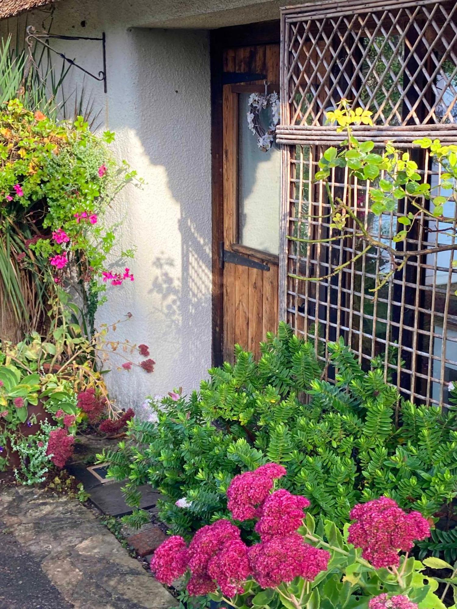 The Nest - Thatched Seaside Country Cottage For Two Stokeinteignhead ภายนอก รูปภาพ