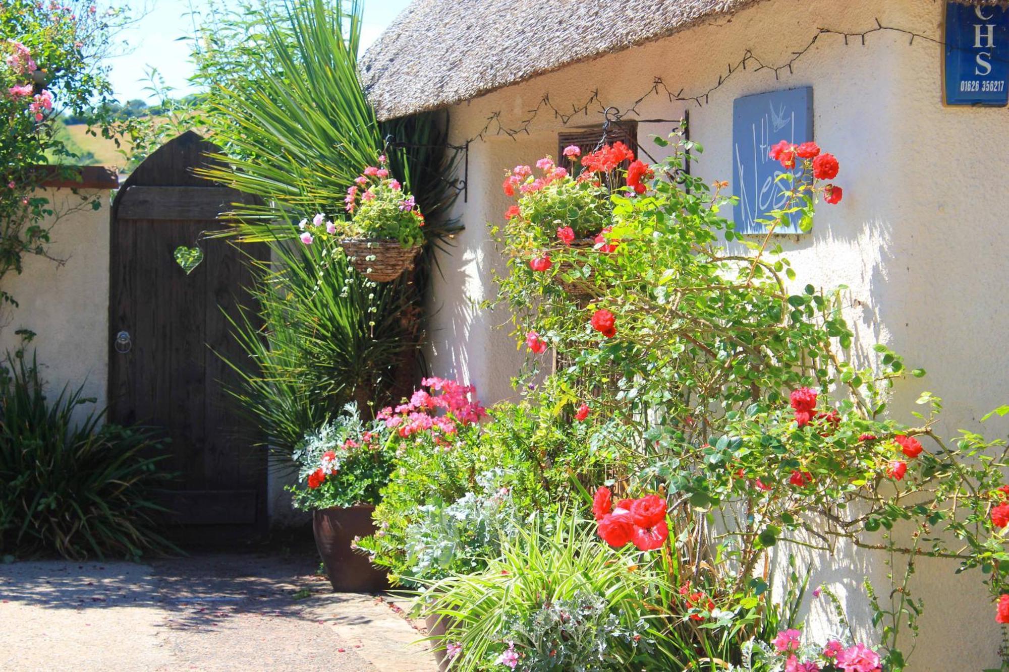 The Nest - Thatched Seaside Country Cottage For Two Stokeinteignhead ภายนอก รูปภาพ