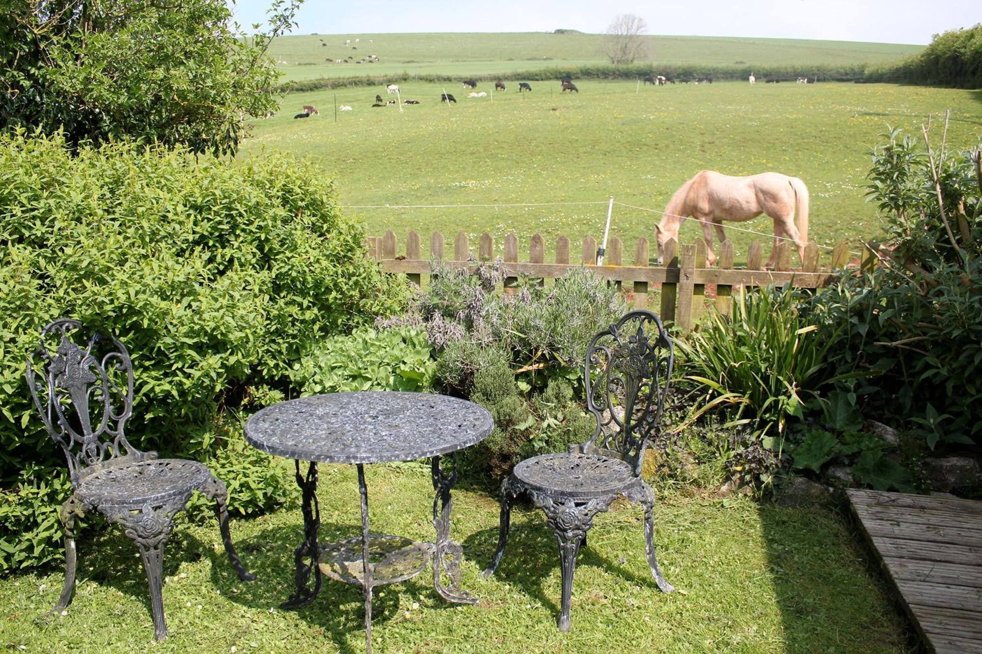 The Nest - Thatched Seaside Country Cottage For Two Stokeinteignhead ภายนอก รูปภาพ